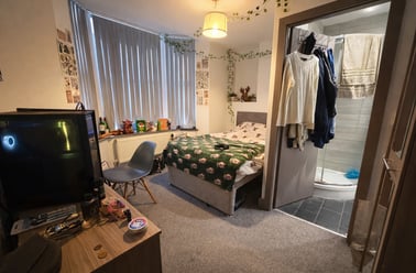 Whitland Road, Fairfield, Liverpool - Image 3