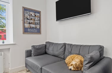 North Hill, Plymouth - Image 2