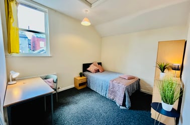 Upper Hanover Street, Broomhall, Sheffield - Image 3