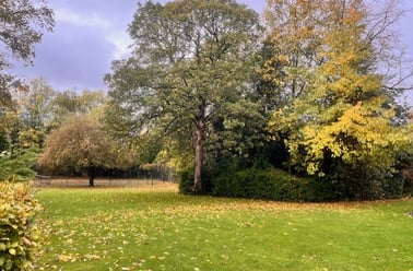 Upper Park Road, Victoria park, Manchester - Image 2