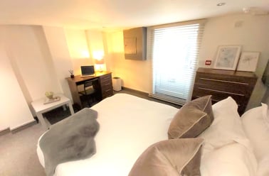 Chestnut Street, Arboretum, Worcester - Image 3