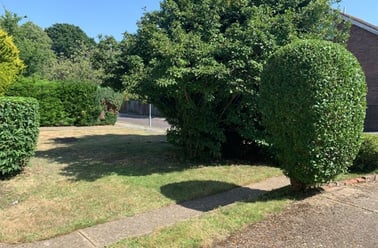 Uplands, Near university, Canterbury - Image 2