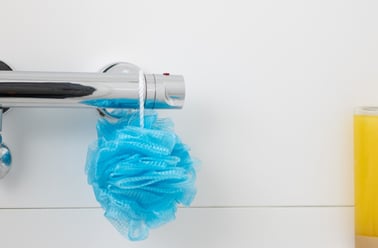 Studio, Bonington Student Village, College Road, Sutton Bonington, Nottingham - Image 3