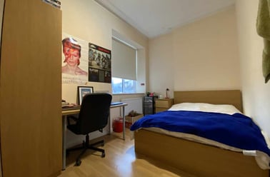 Roath, Plasnewydd, Cardiff - Image 2