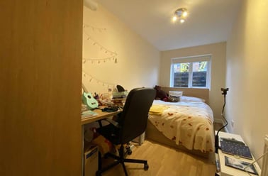 Roath, Plasnewydd, Cardiff - Image 3