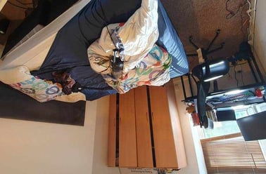  1, Adamstown, Cardiff - Image 3