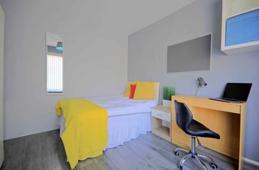 Everton, Low Hill, Liverpool - Image 3