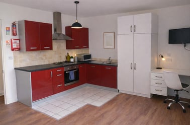 Freemans Meadow, City Centre, Leicester - Image 2