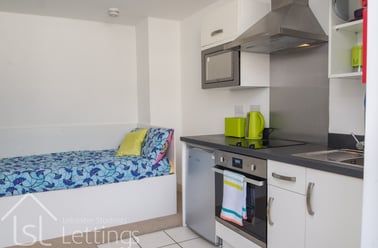 Freemans Meadow, City Centre, Leicester - Image 3