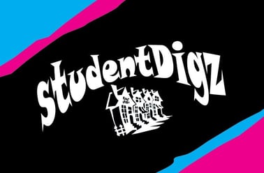 The Kingsway, City Centre, Swansea - Image 2