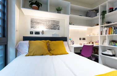 Standard Ensuite, Brewers Close, Mill Street, Dubin 8, Dublin - Image 3