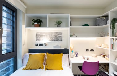 Standard Ensuite, Brewers Close, Mill Street, Dubin 8, Dublin - Image 2