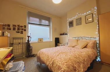Cathays, Plasnewydd, Cardiff - Image 3