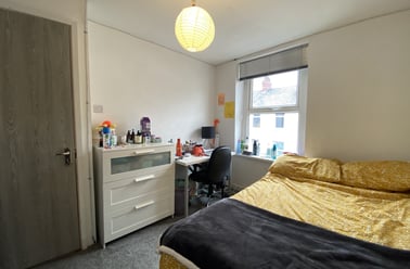 Cathays, Plasnewydd, Cardiff - Image 3