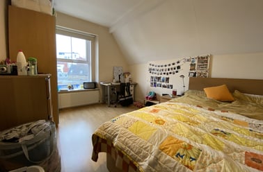 Roath, Plasnewydd, Cardiff - Image 3