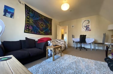 Roath, Plasnewydd, Cardiff - Image 3