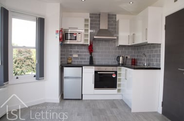 Extra Large Studio, Demontfort Street, Highfields, Leicester - Image 2