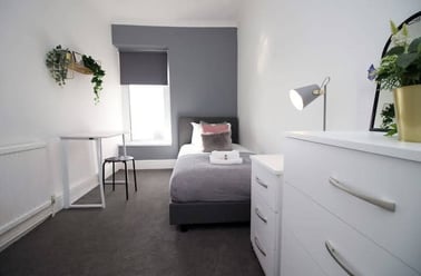 Picton Terrace, Mount Pleasant, Swansea - Image 3