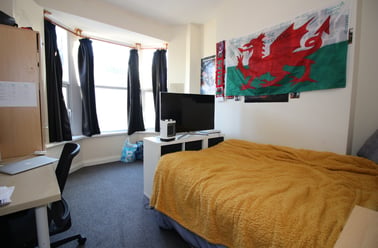 Cathays, Cardiff - Image 3