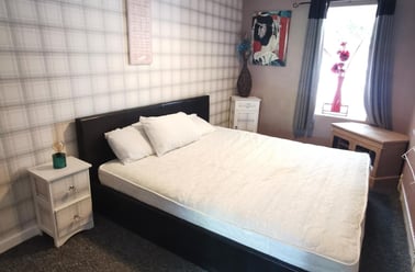 Heathfield, Mount Pleasant, Swansea - Image 3