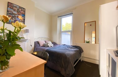 Cathays, Plasnewydd, Cardiff - Image 3