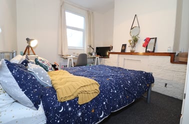 Roath, Plasnewydd, Cardiff - Image 3