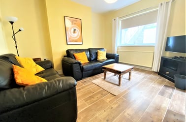 Bryn Syfi Terrace, Mount Pleasant, Swansea - Image 3