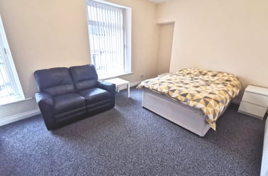 City Centre, Mount Pleasant, Swansea - Image 2