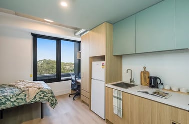 Studio Double, Perth University Campus, McKay Street, Perth - Image 2