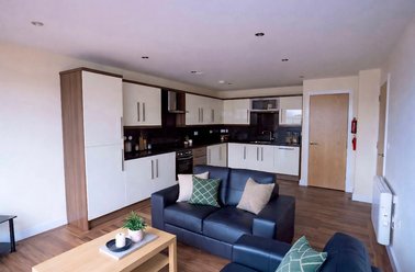 121 Fitzwilliam Street, Devonshire Green, Sheffield - Image 2