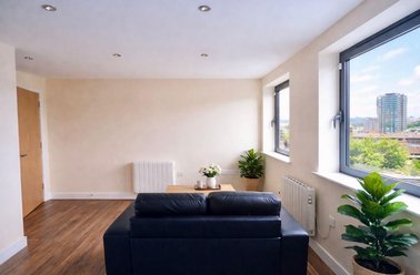 121 Fitzwilliam Street, Devonshire Green, Sheffield - Image 3