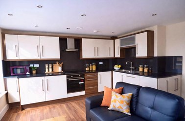 121 Fitzwilliam Street, Devonshire Green, Sheffield - Image 2