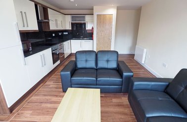 121 Fitzwilliam Street, Devonshire Green, Sheffield - Image 2