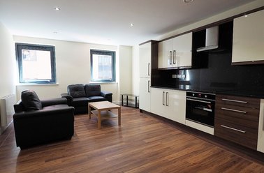 121 Fitzwilliam Street, Devonshire Green, Sheffield - Image 2