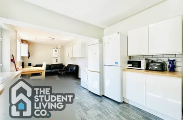 Derby Grove, Radford, Nottingham - Image 3