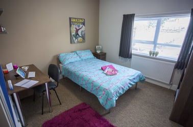 Bryn Road, Brynmill, Swansea - Image 3