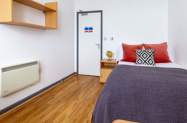 Bronze Ensuite, Alexandra Hall, Victoria Terrace, Central, Aberystwyth - Image 2