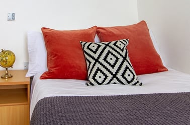 Bronze Ensuite, Alexandra Hall, Victoria Terrace, Central, Aberystwyth - Image 3