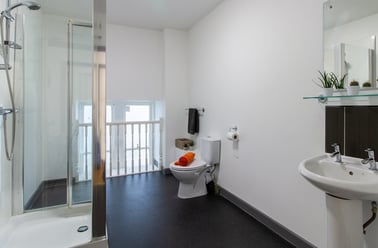 Bronze Single Room, Alexandra Hall, Victoria Terrace, Central, Aberystwyth - Image 3