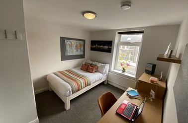 Llantrisant Street, Cathays, Cathays, Cardiff - Image 3