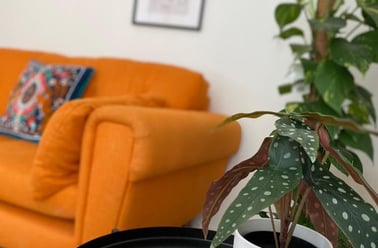 Derwent Drive, City Centre, Loughborough - Image 2