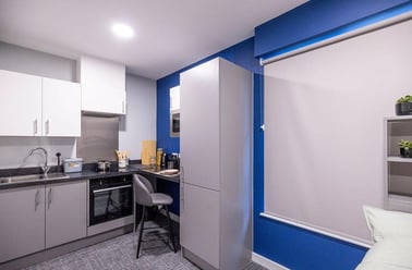 Classic Studio, Ash Grove Court, Ash Grove, University Of Surrey, Guildford - Image 3