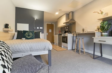 Standard Studio, Straits Manor, 52 West Street, City Centre, Sheffield - Image 2