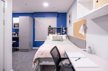 Standard Studio, Ash Grove Court, Ash Grove, University Of Surrey, Guildford - Image 2