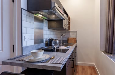 Premium Plus One Bedroom, The Priory, Springfield Mount, University Of Leeds, Leeds - Image 3