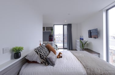 Platinum Studio Room