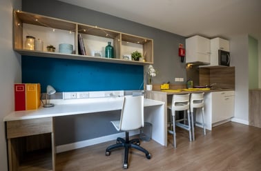 Lower Ground Floor Studio, Haddington Place, 34B, 35 and 37-40 Haddington Place, Marchmont, Edinburgh - Image 2