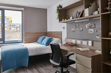 Deluxe Plus Ensuite, Howard Gardens, Adamsdown, Cardiff - Image 3