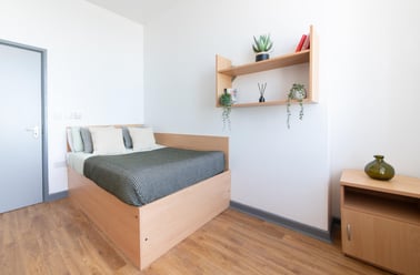 Silver Ensuite with View, Alexandra Hall, Victoria Terrace, Central, Aberystwyth - Image 2