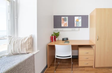 Bronze Double with View, Alexandra Hall, Victoria Terrace, Central, Aberystwyth - Image 3